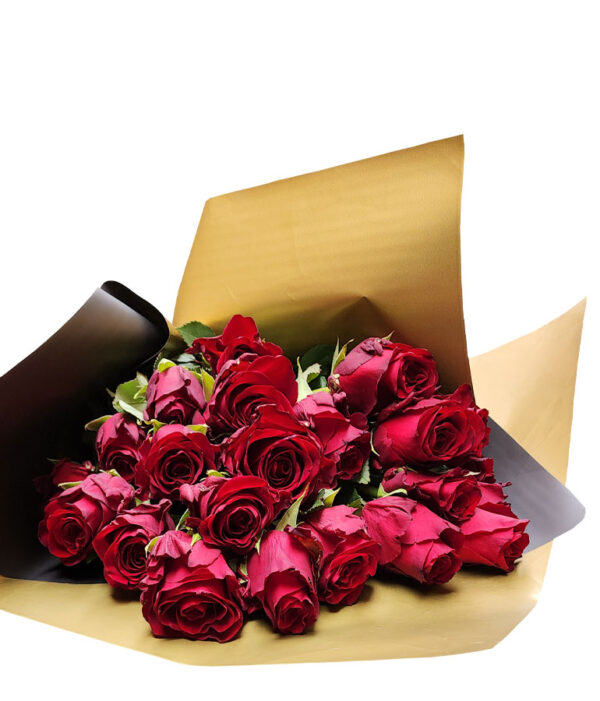 Red rose