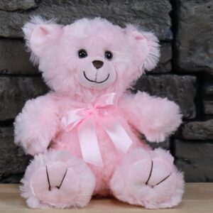 Pink Teddy