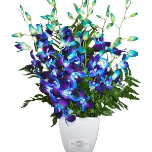 Orchids Vase