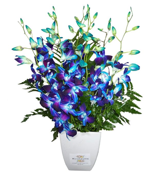 Orchids Vase