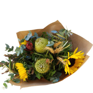 Banksia