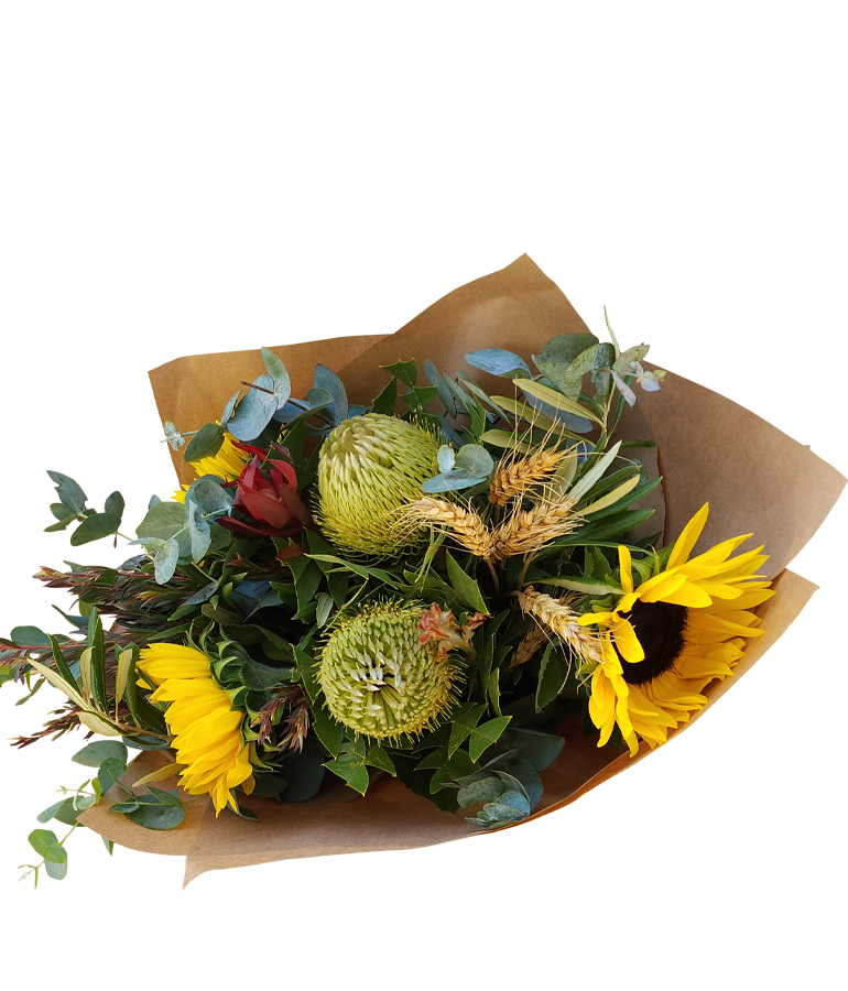 Banksia